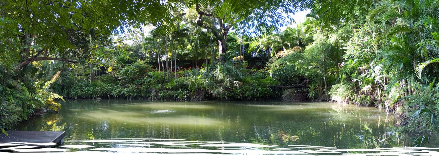 Swami Jyotirmayananda ashram photo